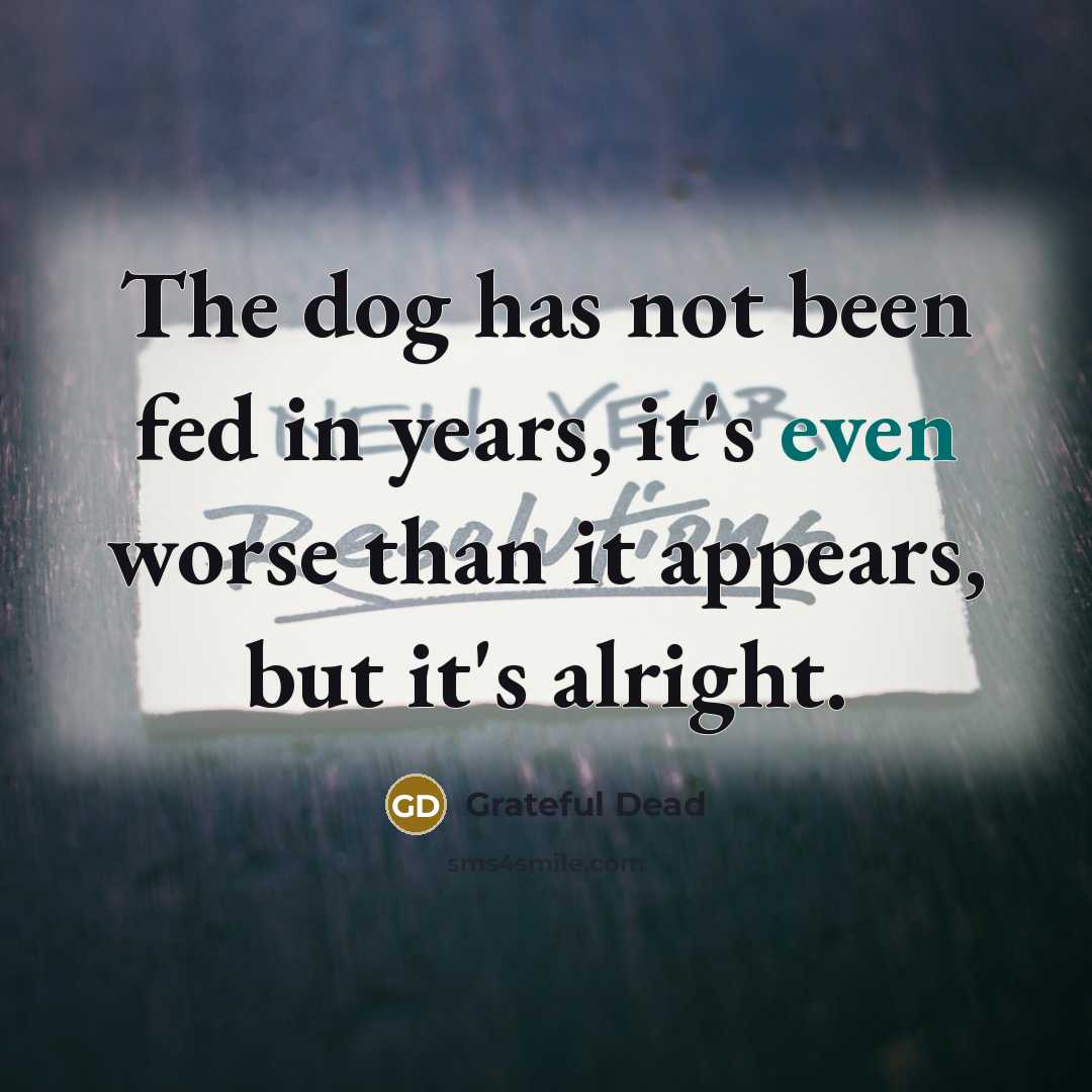 “The dog has not been fed in years, it's even worse than it appears, but it's alright.” quote by Grateful Dead