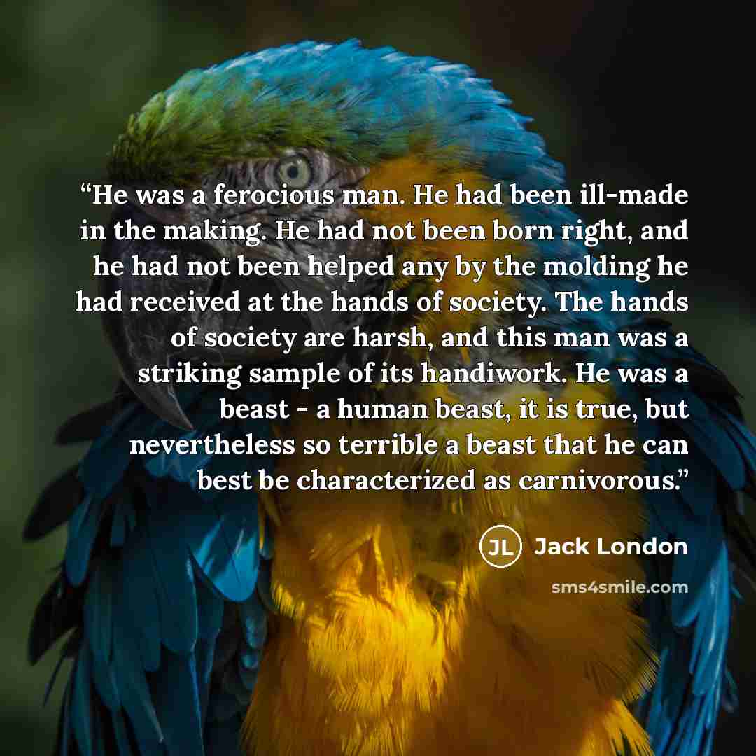 “He was a ferocious man. He had been ill-made in the making. He had not been born right, and he had not been helped any by the molding he had received at the hands of society. The hands of society are harsh, and this man was a striking sample of its handiwork. He was a beast - a human beast, it is…” quote by Jack London