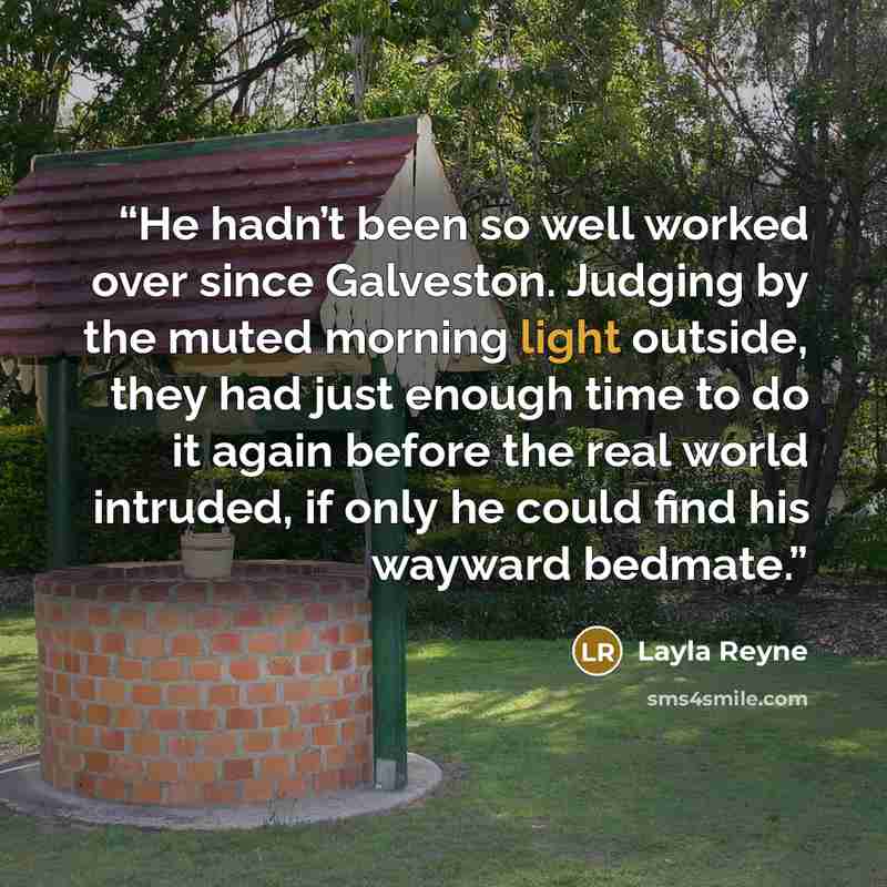 “He hadn’t been so well worked over since Galveston. Judging by the muted morning light outside, they had just enough time to do it again before the real world intruded, if only he could find his wayward bedmate.” quote by Layla Reyne