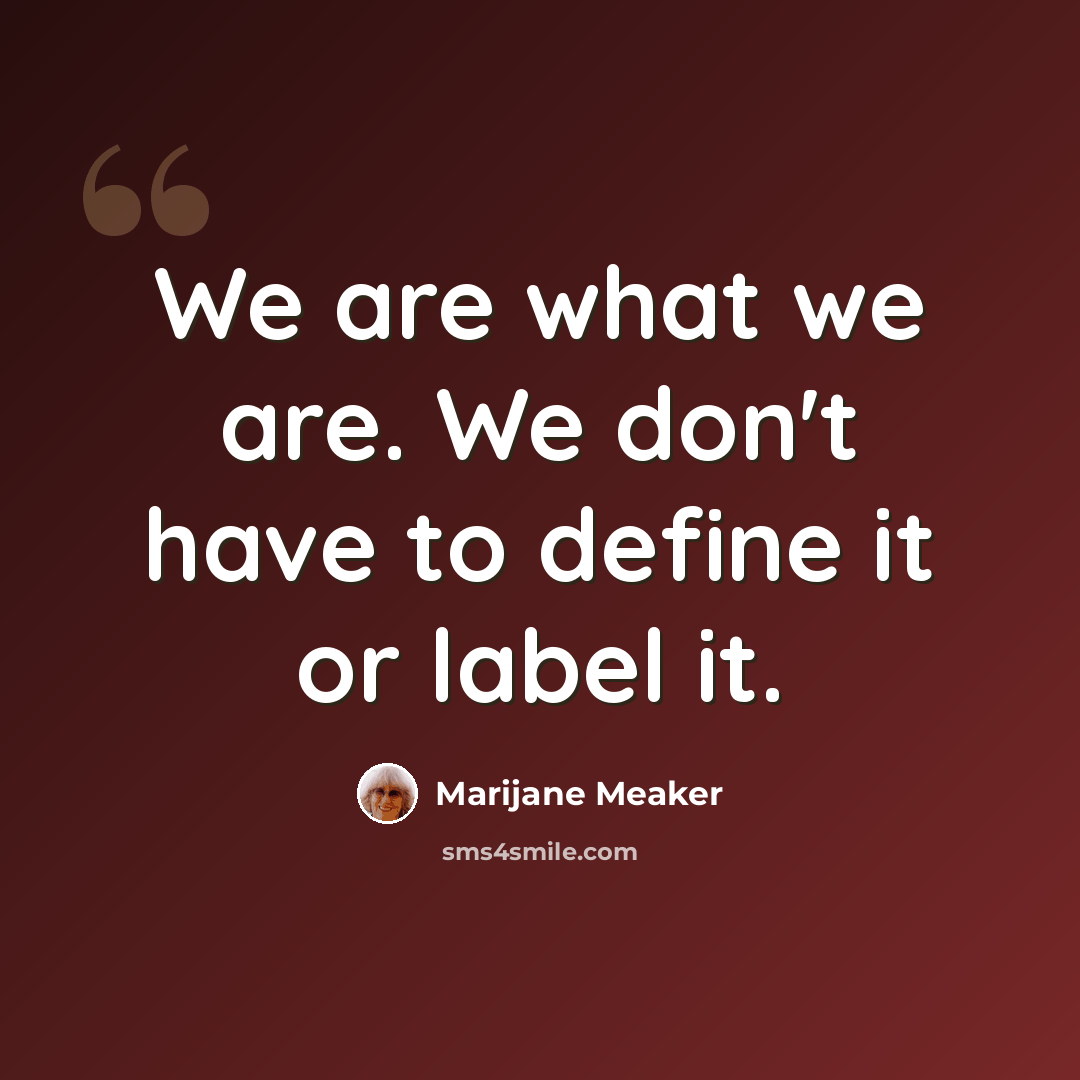 “We are what we are. We don't have to define it or label it.” quote by Marijane Meaker