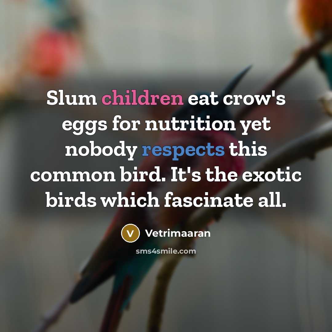 “Slum children eat crow's eggs for nutrition yet nobody respects this common bird. It's the exotic birds which fascinate all.” quote by Vetrimaaran