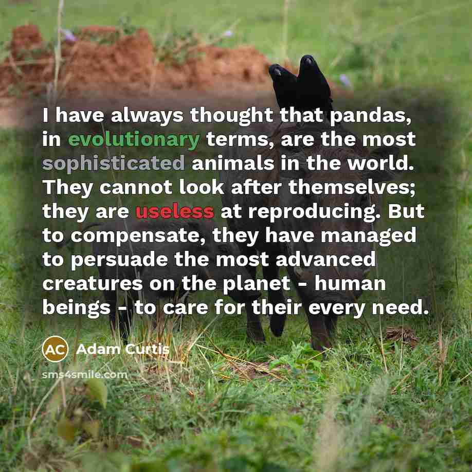 “I have always thought that pandas, in evolutionary terms, are the most sophisticated animals in the world. They cannot look after themselves; they are useless at reproducing. But to compensate, they have managed to persuade the most advanced creatures on the planet - human beings - to care for…” quote by Adam Curtis