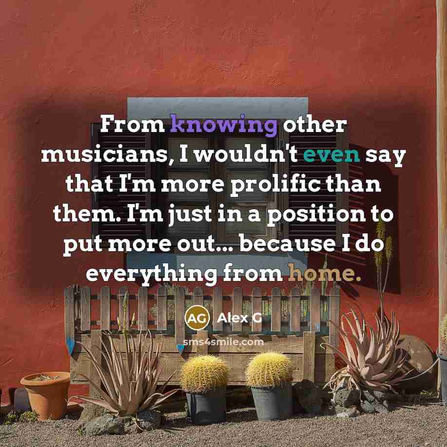 “From knowing other musicians, I wouldn't even say that I'm more prolific than them. I'm just in a position to put more out... because I do everything from home.” quote by Alex G