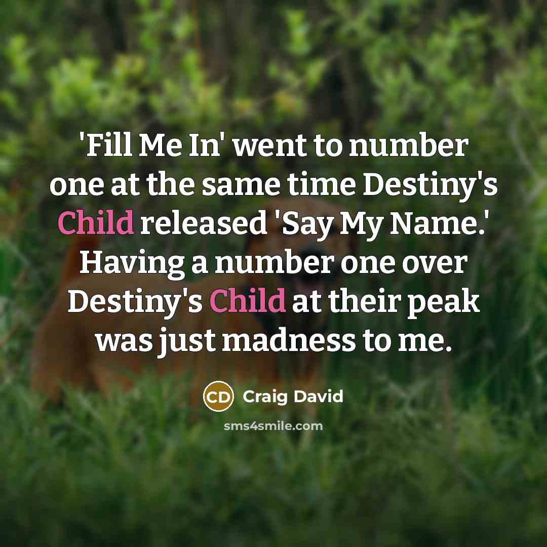 “'Fill Me In' went to number one at the same time Destiny's Child released 'Say My Name.' Having a number one over Destiny's Child at their peak was just madness to me.” quote by Craig David