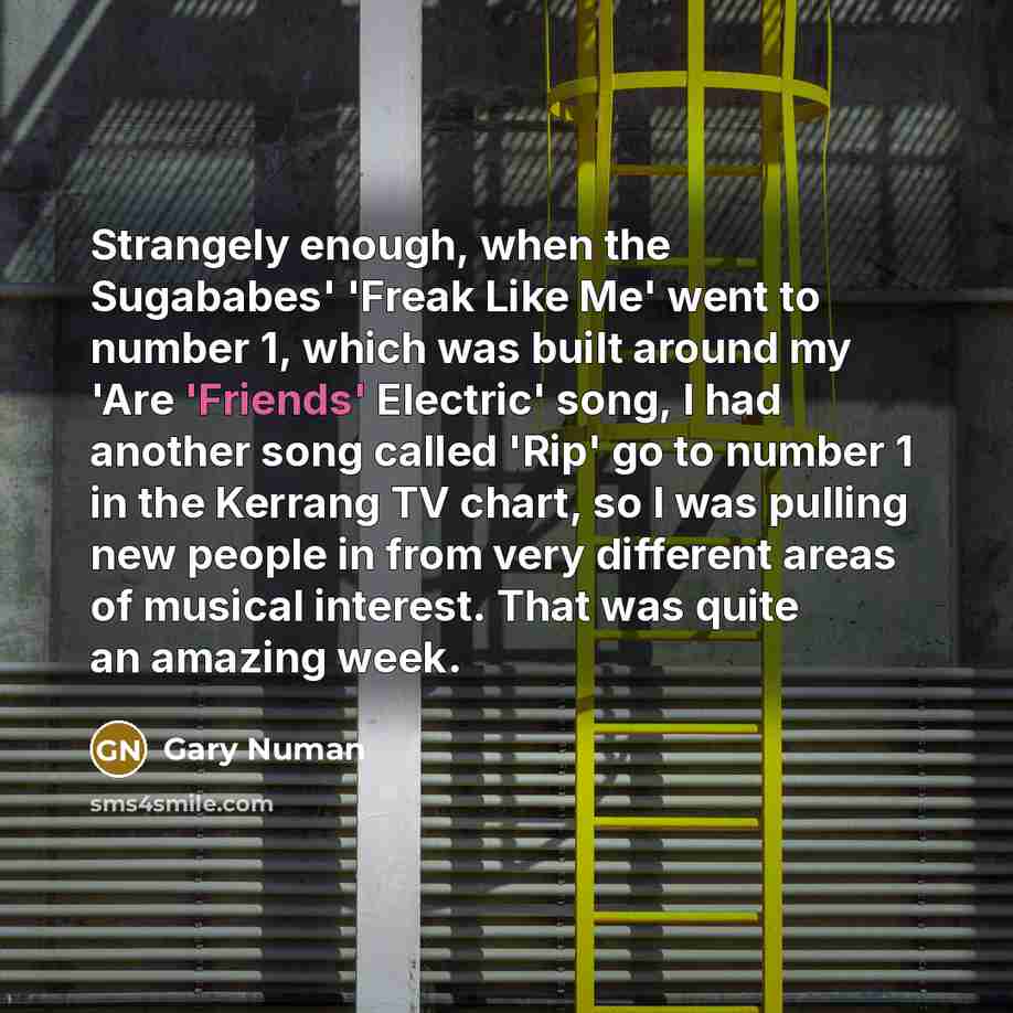 “Strangely enough, when the Sugababes' 'Freak Like Me' went to number 1, which was built around my 'Are 'Friends' Electric' song, I had another song called 'Rip' go to number 1 in the Kerrang TV chart, so I was pulling new people in from very different areas of musical interest. That was quite an…” quote by Gary Numan