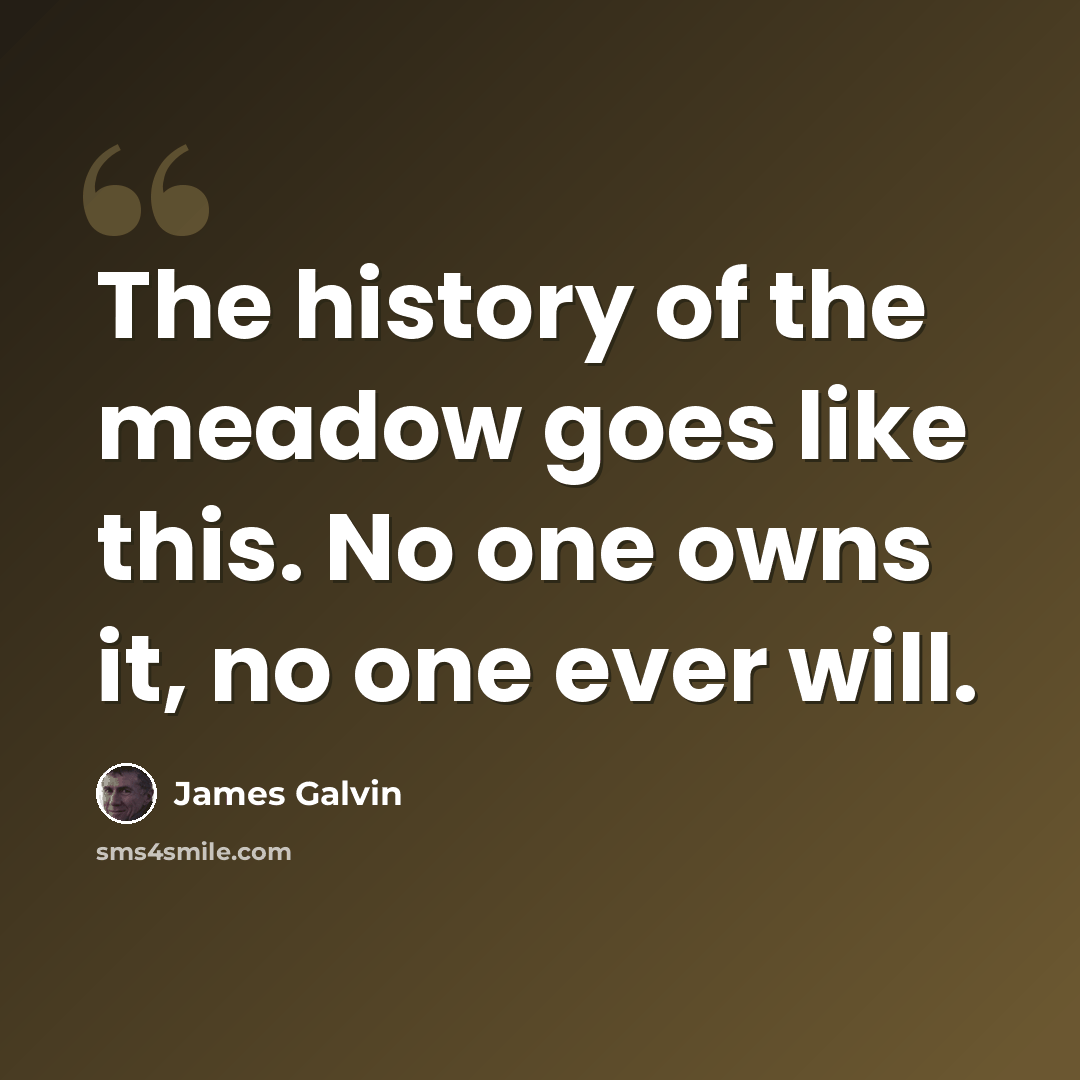 “The history of the meadow goes like this. No one owns it, no one ever will.” quote by James Galvin