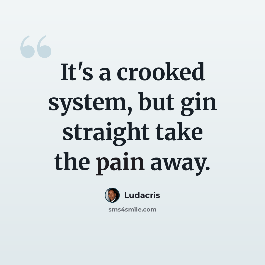 “It's a crooked system, but gin straight take the pain away.” quote by Ludacris