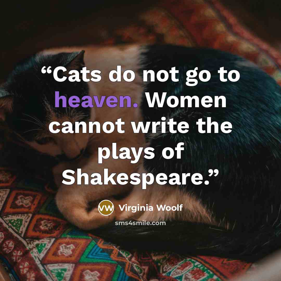 “Cats do not go to heaven. Women cannot write the plays of Shakespeare.” quote by Virginia Woolf