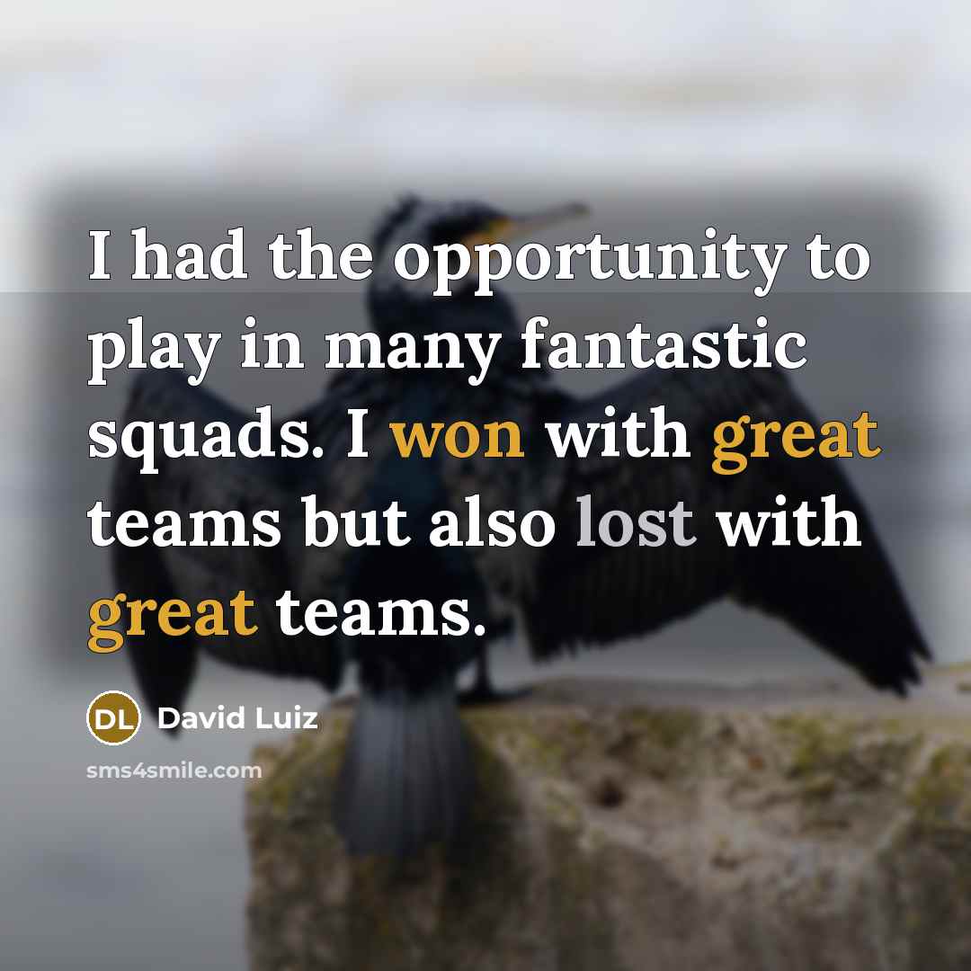“I had the opportunity to play in many fantastic squads. I won with great teams but also lost with great teams.” quote by David Luiz