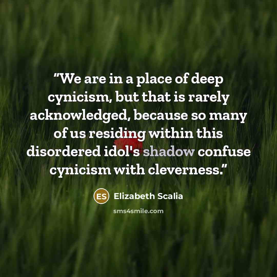 “We are in a place of deep cynicism, but that is rarely acknowledged, because so many of us residing within this disordered idol's shadow confuse cynicism with cleverness.” quote by Elizabeth Scalia