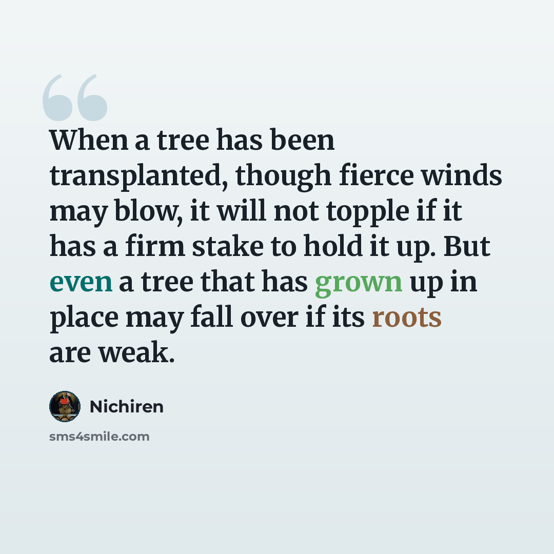 “When a tree has been transplanted, though fierce winds may blow, it will not topple if it has a firm stake to hold it up. But even a tree that has grown up in place may fall over if its roots are weak.” quote by Nichiren