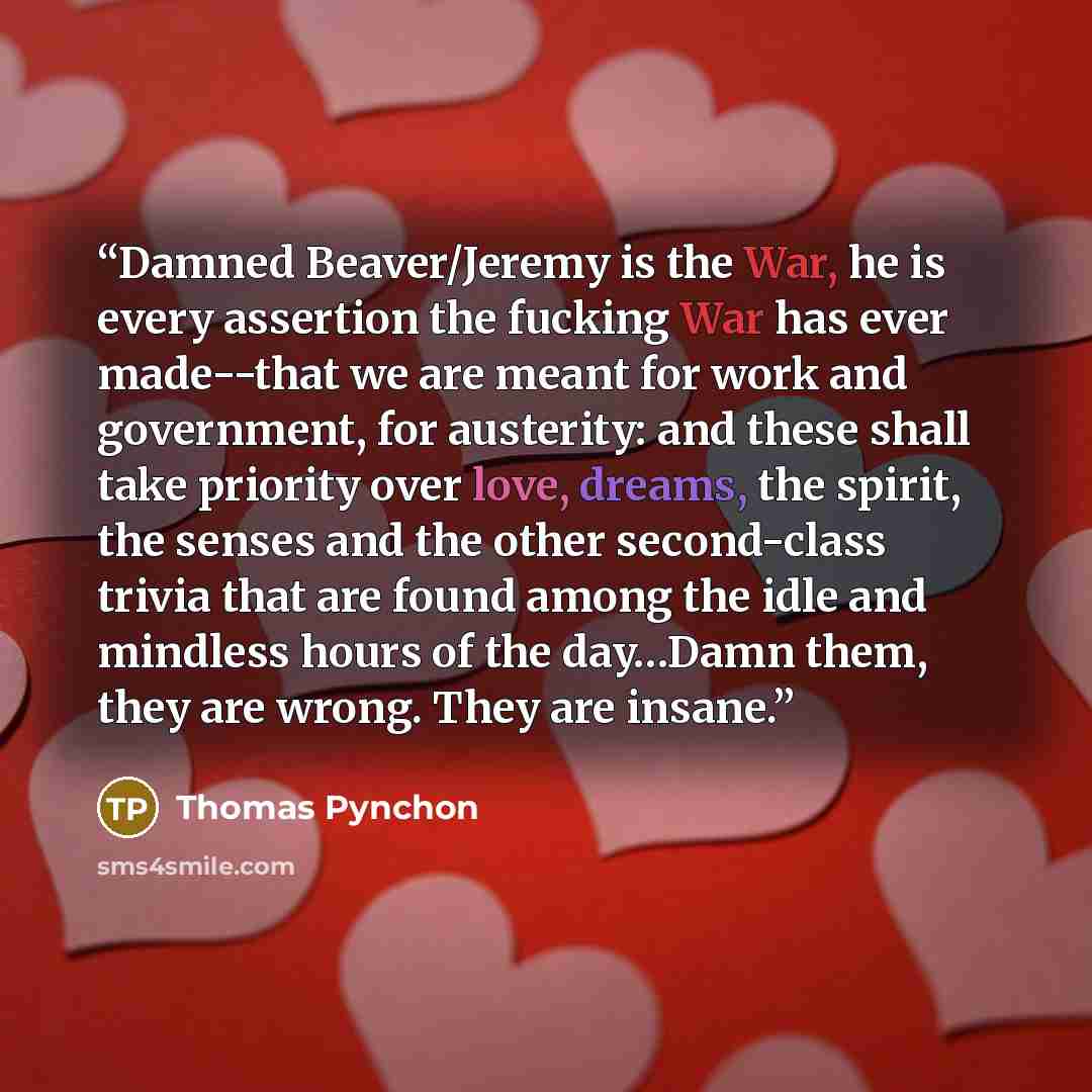 “Damned Beaver/Jeremy is the War, he is every assertion the fucking War has ever made--that we are meant for work and government, for austerity: and these shall take priority over love, dreams, the spirit, the senses and the other second-class trivia that are found among the idle and mindless hours…” quote by Thomas Pynchon