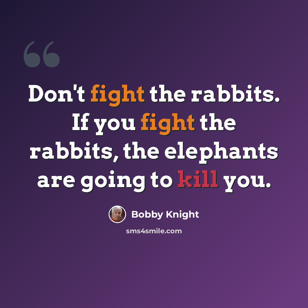 “Don't fight the rabbits. If you fight the rabbits, the elephants are going to kill you.” quote by Bobby Knight