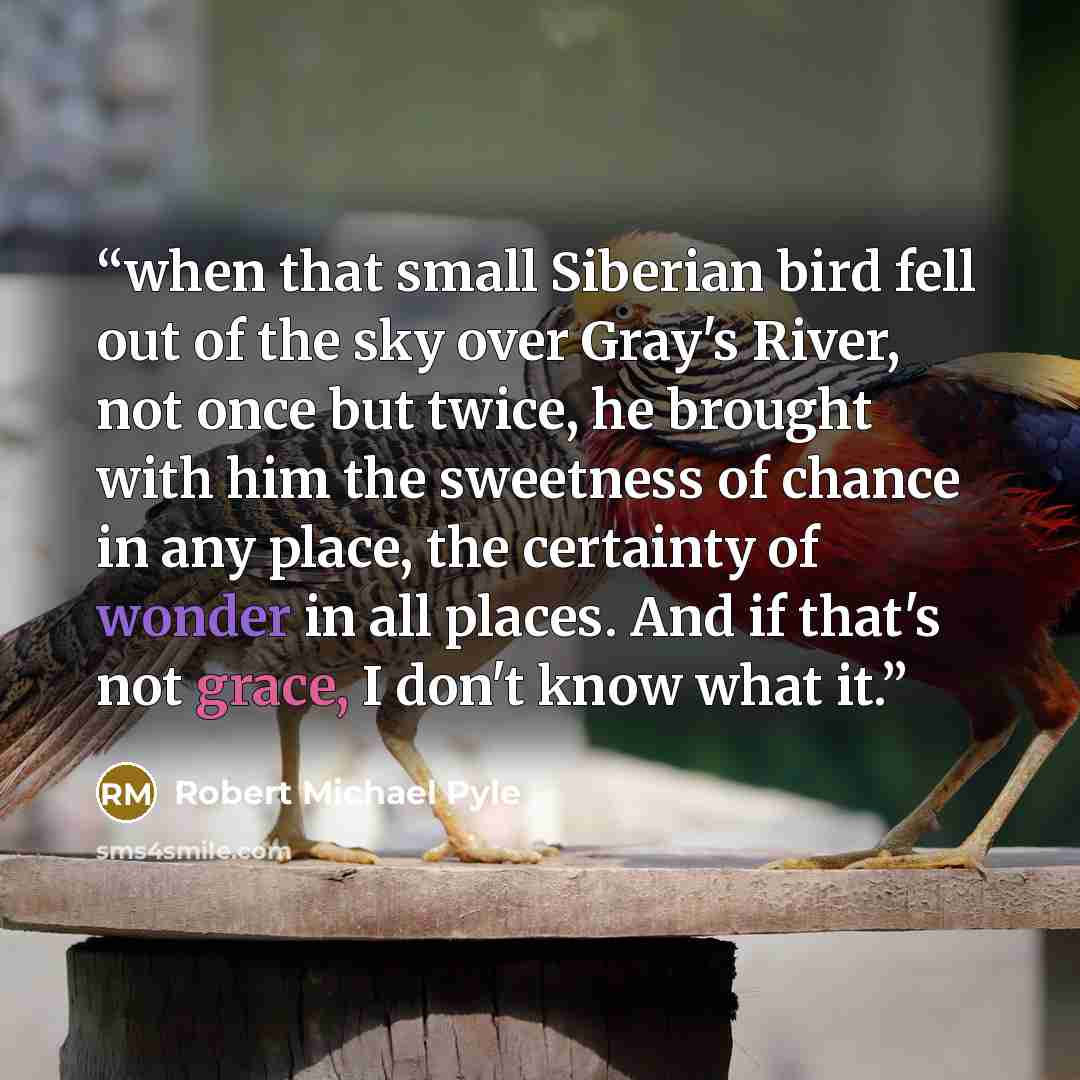 “when that small Siberian bird fell out of the sky over Gray's River, not once but twice, he brought with him the sweetness of chance in any place, the certainty of wonder in all places. And if that's not grace, I don't know what it.” quote by Robert Michael Pyle