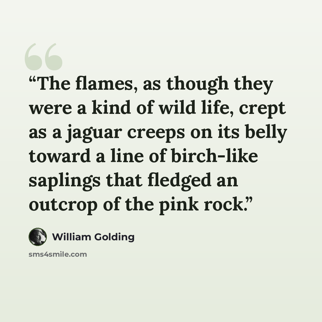 “The flames, as though they were a kind of wild life, crept as a jaguar creeps on its belly toward a line of birch-like saplings that fledged an outcrop of the pink rock.” quote by William Golding