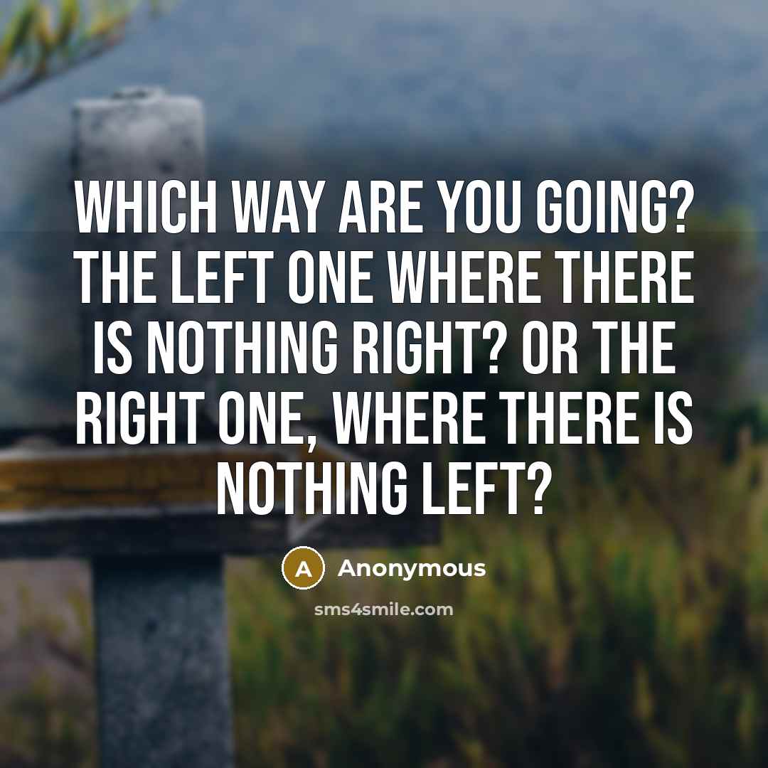 “Which way are you going? The left one where there is nothing right? Or the right one, where there is nothing left?” quote by Anonymous