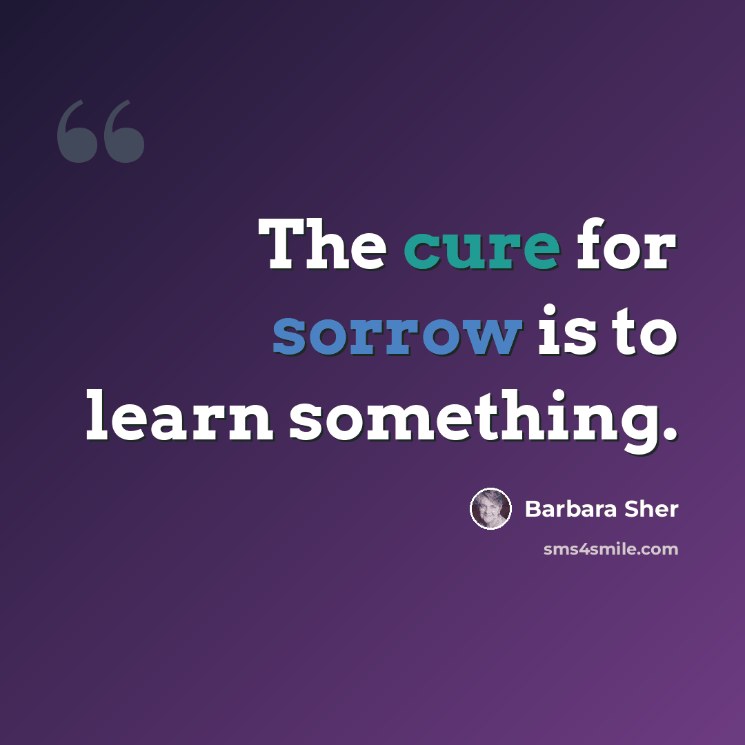 “The cure for sorrow is to learn something.” quote by Barbara Sher