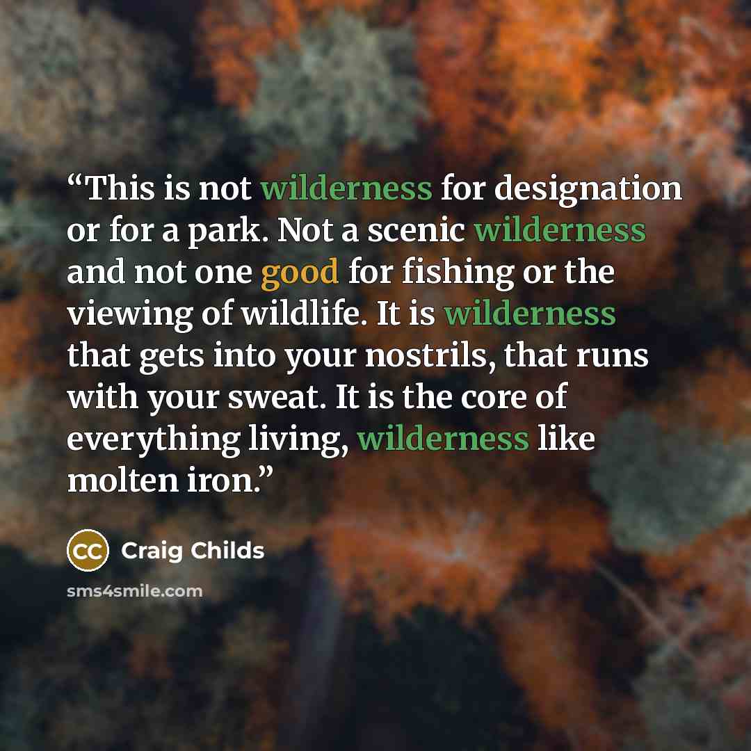 “This is not wilderness for designation or for a park. Not a scenic wilderness and not one good for fishing or the viewing of wildlife. It is wilderness that gets into your nostrils, that runs with your sweat. It is the core of everything living, wilderness like molten iron.” quote by Craig Childs