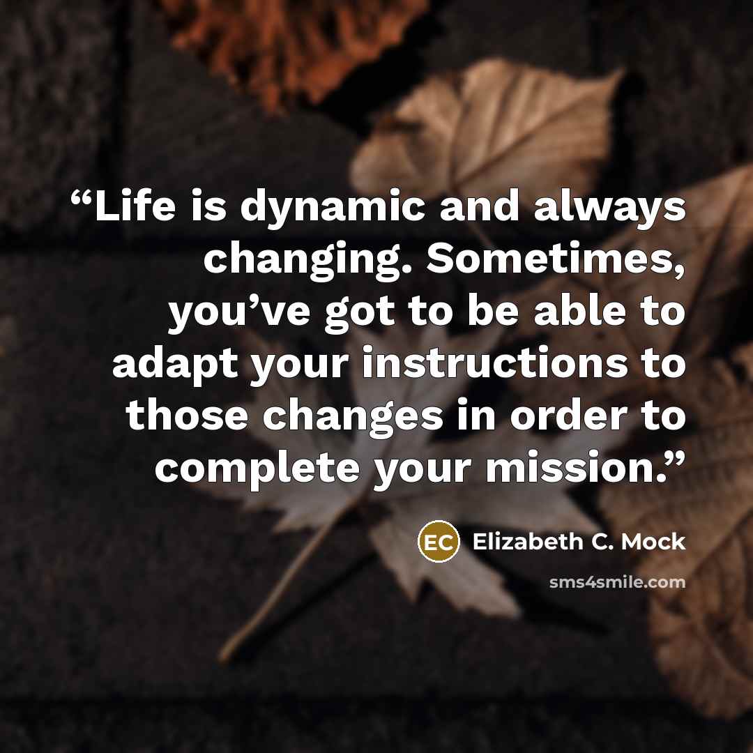 “Life is dynamic and always changing. Sometimes, you’ve got to be able to adapt your instructions to those changes in order to complete your mission.” quote by Elizabeth C. Mock
