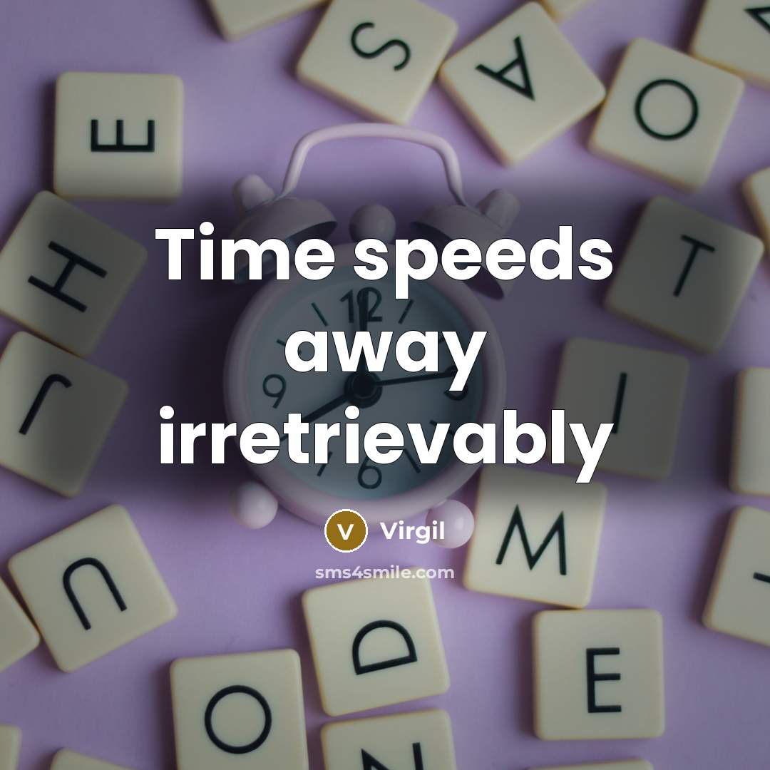 “Time speeds away irretrievably” quote by Virgil