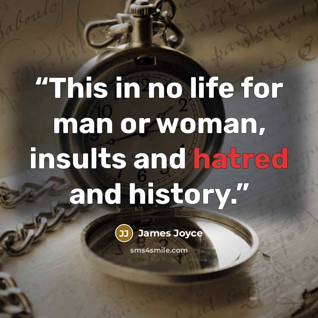“This in no life for man or woman, insults and hatred and history.” quote by James Joyce