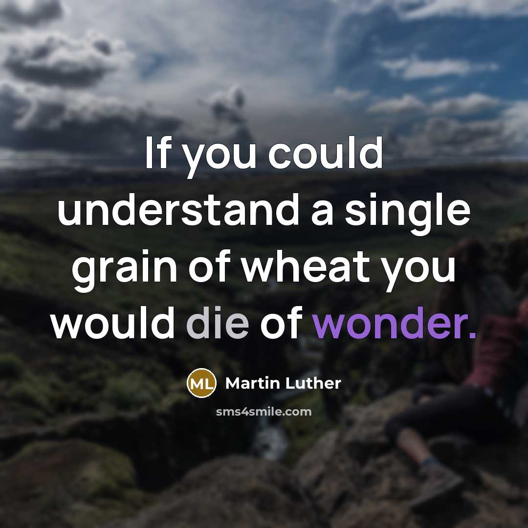 “If you could understand a single grain of wheat you would die of wonder.” quote by Martin Luther