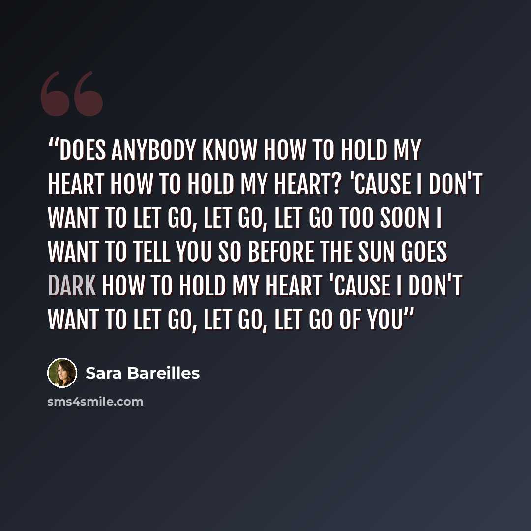 “Does anybody know how to hold my heart How to hold my heart? 'Cause I don't want to let go, let go, let go too soon I want to tell you so before the sun goes dark How to hold my heart 'Cause I don't want to let go, let go, let go of you” quote by Sara Bareilles