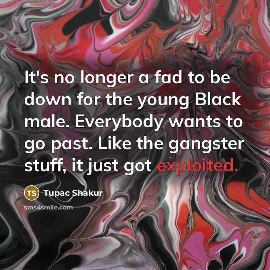 “It's no longer a fad to be down for the young Black male. Everybody wants to go past. Like the gangster stuff, it just got exploited.” quote by Tupac Shakur
