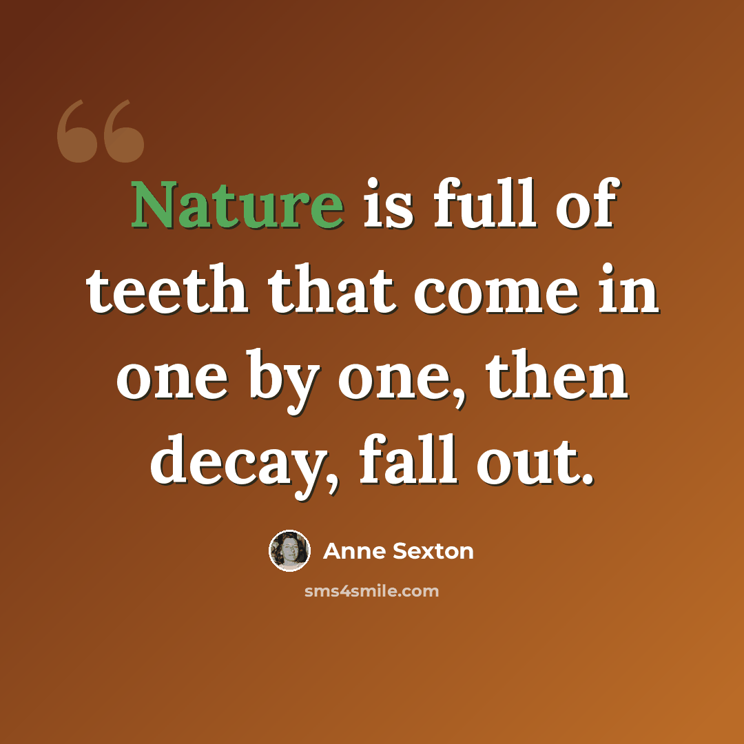 “Nature is full of teeth that come in one by one, then decay, fall out.” quote by Anne Sexton