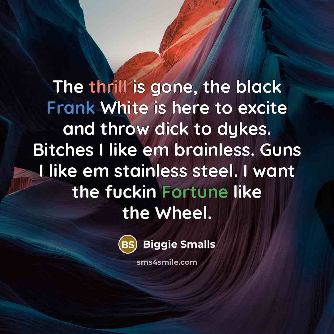 “The thrill is gone, the black Frank White is here to excite and throw dick to dykes. Bitches I like em brainless. Guns I like em stainless steel. I want the fuckin Fortune like the Wheel.” quote by Biggie Smalls