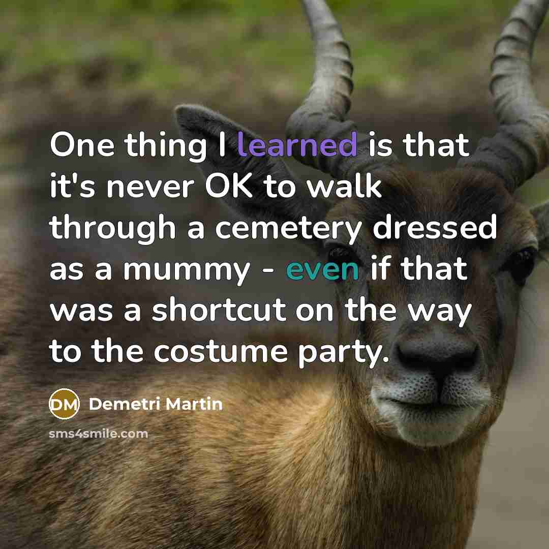 “One thing I learned is that it's never OK to walk through a cemetery dressed as a mummy - even if that was a shortcut on the way to the costume party.” quote by Demetri Martin
