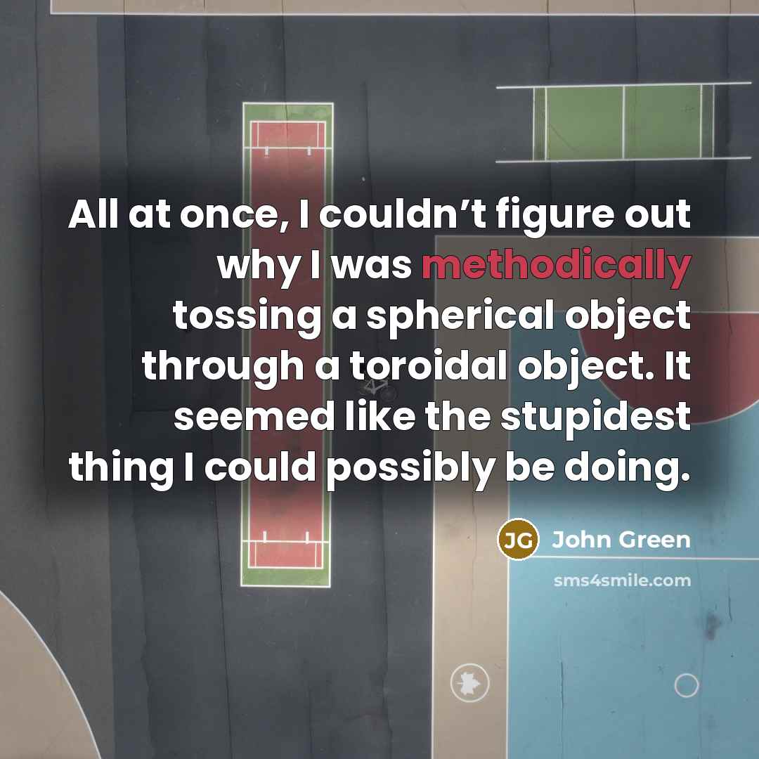 “All at once, I couldn’t figure out why I was methodically tossing a spherical object through a toroidal object. It seemed like the stupidest thing I could possibly be doing.” quote by John Green