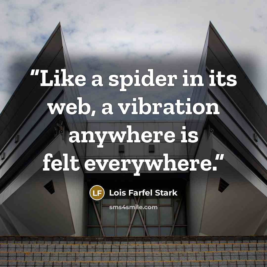 “Like a spider in its web, a vibration anywhere is felt everywhere.” quote by Lois Farfel Stark