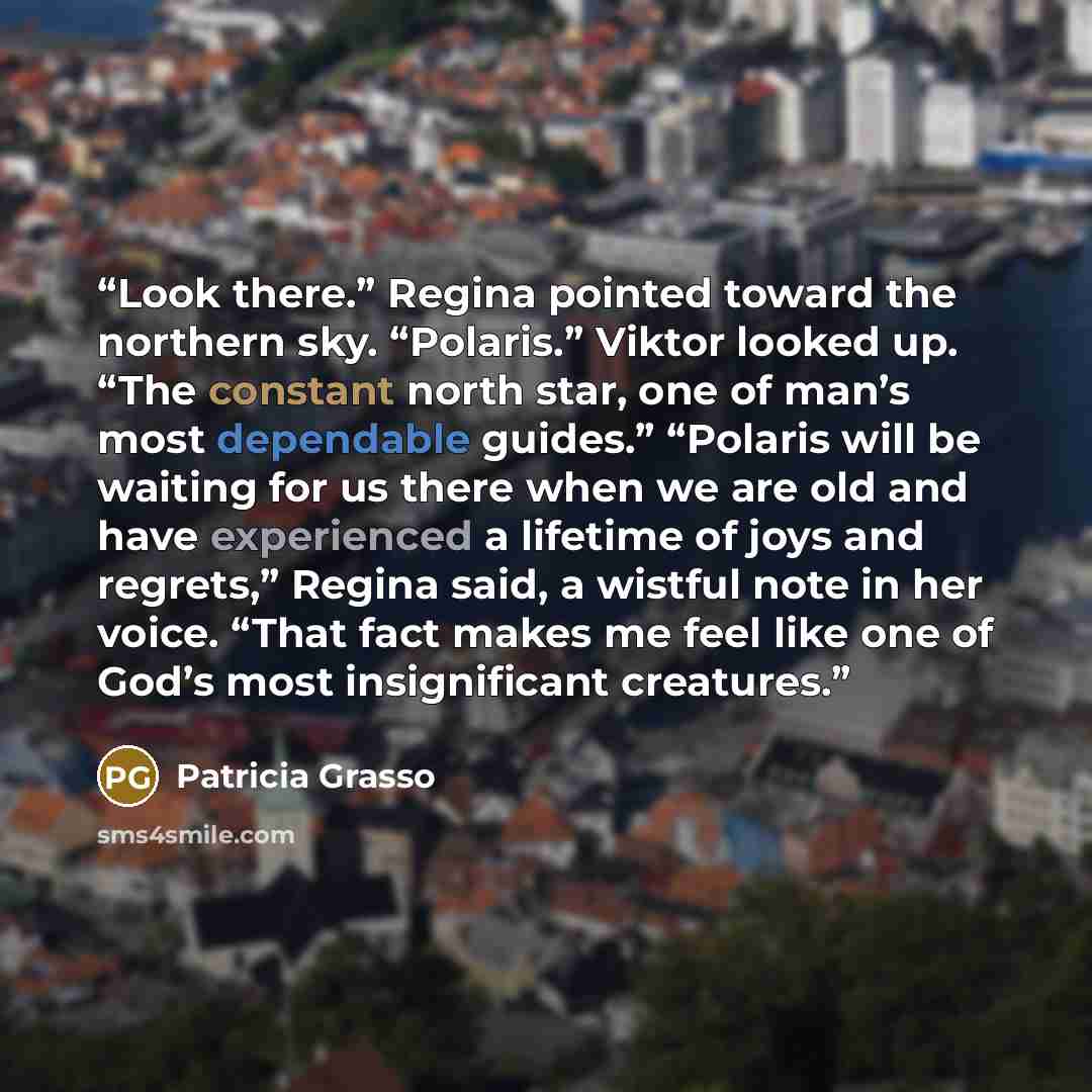 “Look there.” Regina pointed toward the northern sky. “Polaris.” Viktor looked up. “The constant north star, one of man’s most dependable guides.” “Polaris will be waiting for us there when we are old and have experienced a lifetime of joys and regrets,” Regina said, a wistful note in her voice…” quote by Patricia Grasso