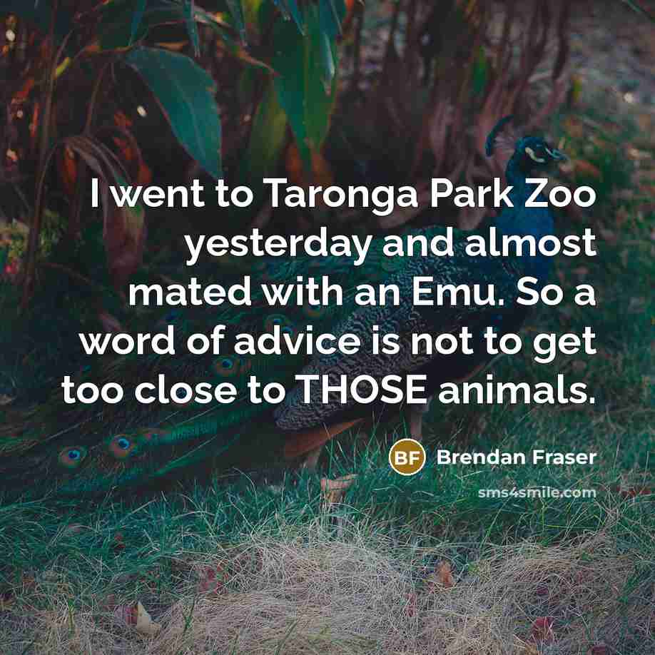 “I went to Taronga Park Zoo yesterday and almost mated with an Emu. So a word of advice is not to get too close to THOSE animals.” quote by Brendan Fraser