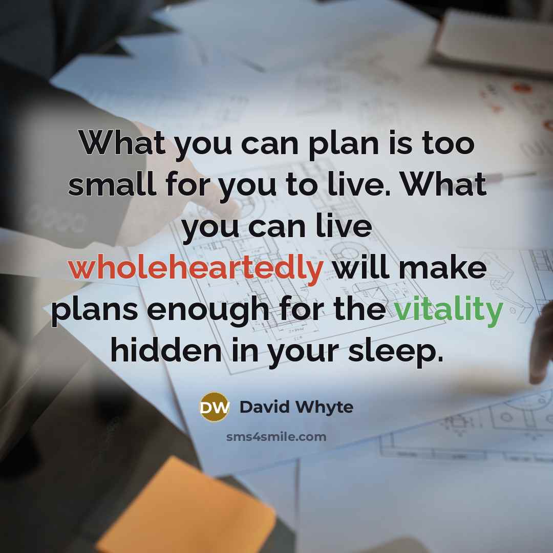 “What you can plan is too small for you to live. What you can live wholeheartedly will make plans enough for the vitality hidden in your sleep.” quote by David Whyte