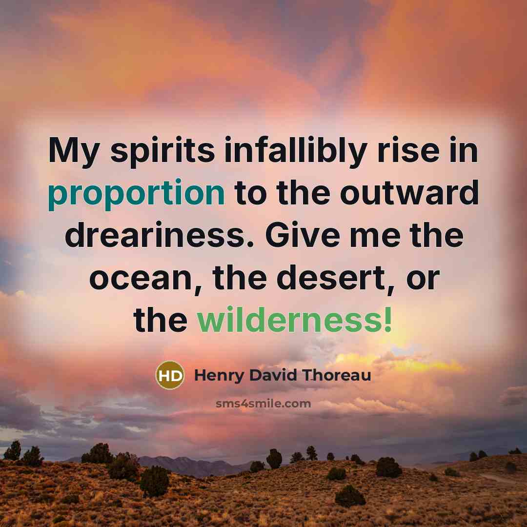 “My spirits infallibly rise in proportion to the outward dreariness. Give me the ocean, the desert, or the wilderness!” quote by Henry David Thoreau