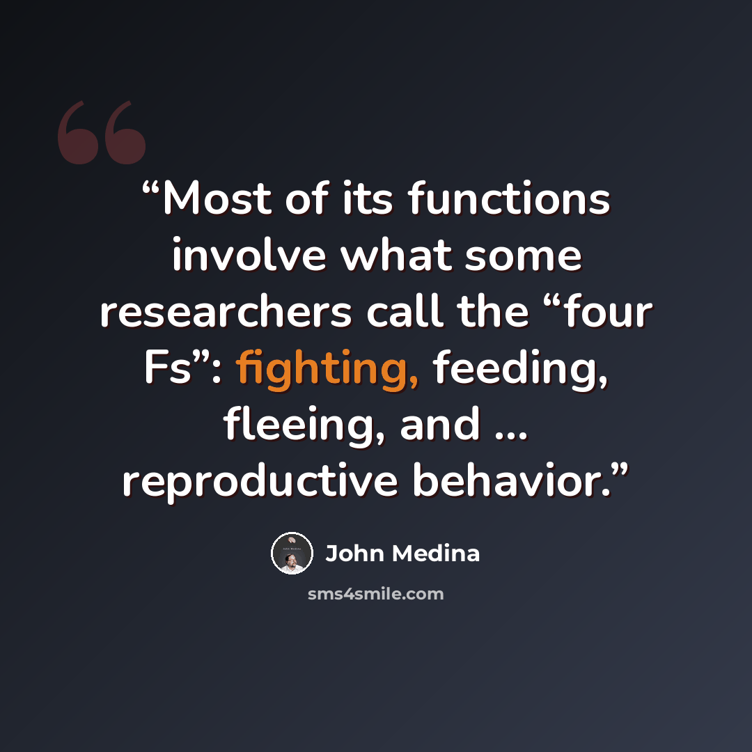“Most of its functions involve what some researchers call the “four Fs”: fighting, feeding, fleeing, and … reproductive behavior.” quote by John Medina
