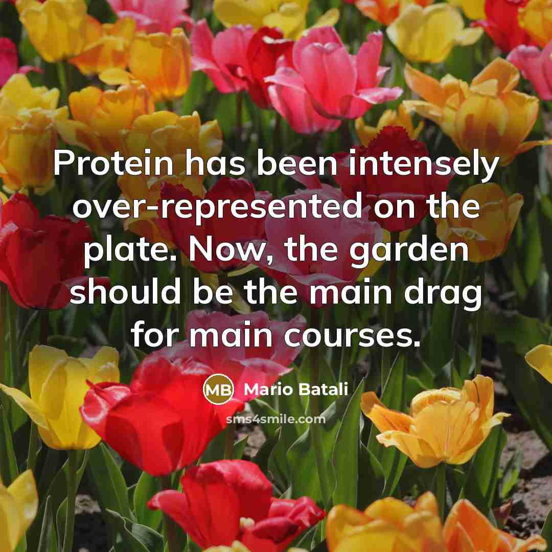 “Protein has been intensely over-represented on the plate. Now, the garden should be the main drag for main courses.” quote by Mario Batali