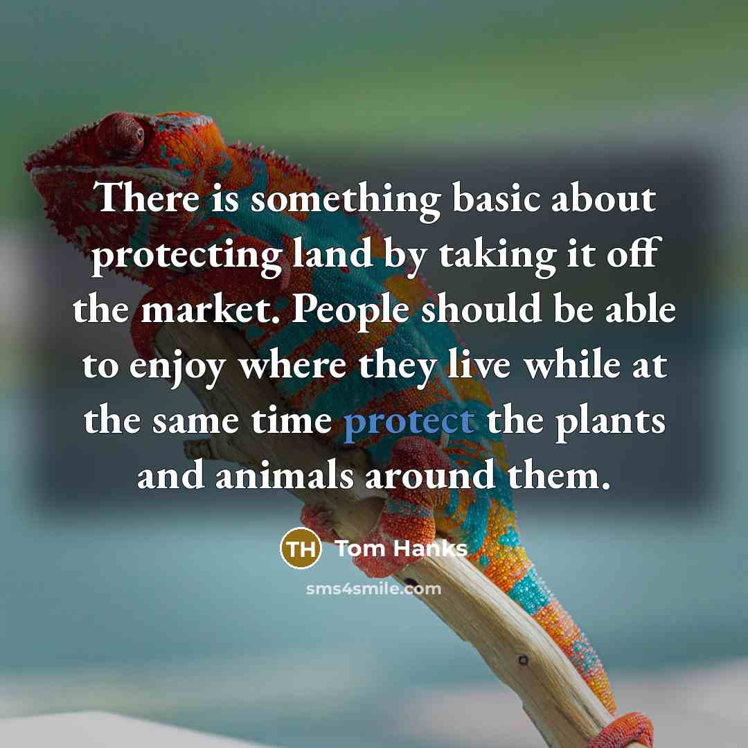 “There is something basic about protecting land by taking it off the market. People should be able to enjoy where they live while at the same time protect the plants and animals around them.” quote by Tom Hanks