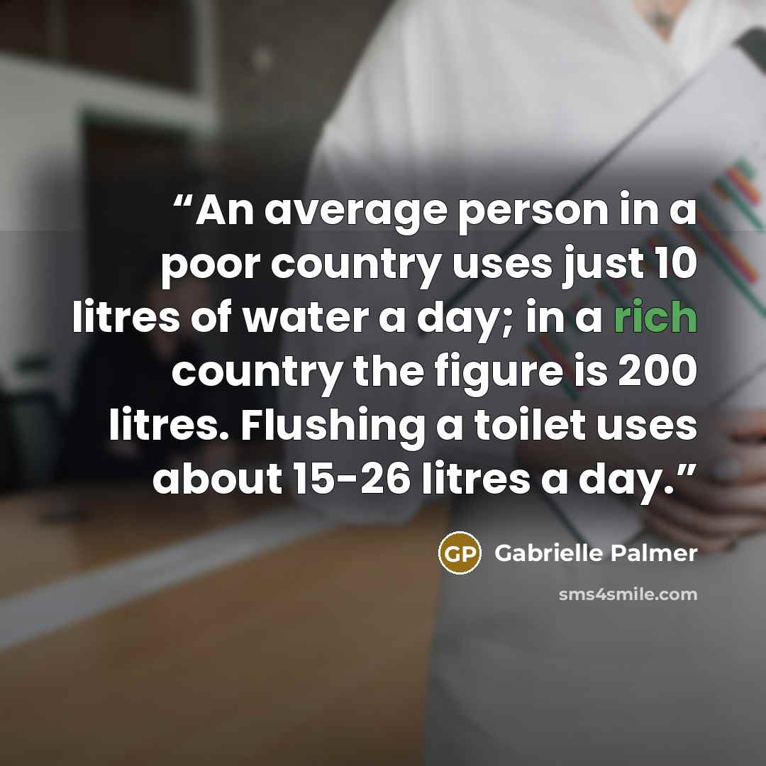 “An average person in a poor country uses just 10 litres of water a day; in a rich country the figure is 200 litres. Flushing a toilet uses about 15-26 litres a day.” quote by Gabrielle Palmer