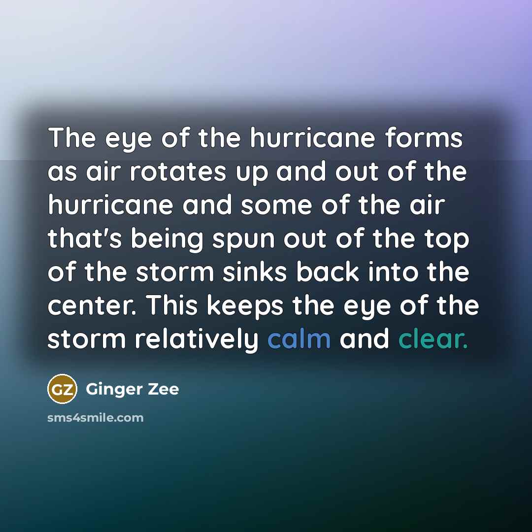 “The eye of the hurricane forms as air rotates up and out of the hurricane and some of the air that's being spun out of the top of the storm sinks back into the center. This keeps the eye of the storm relatively calm and clear.” quote by Ginger Zee
