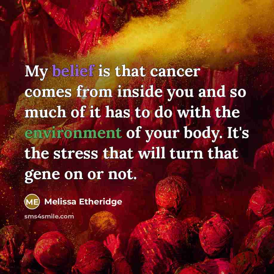 “My belief is that cancer comes from inside you and so much of it has to do with the environment of your body. It's the stress that will turn that gene on or not.” quote by Melissa Etheridge