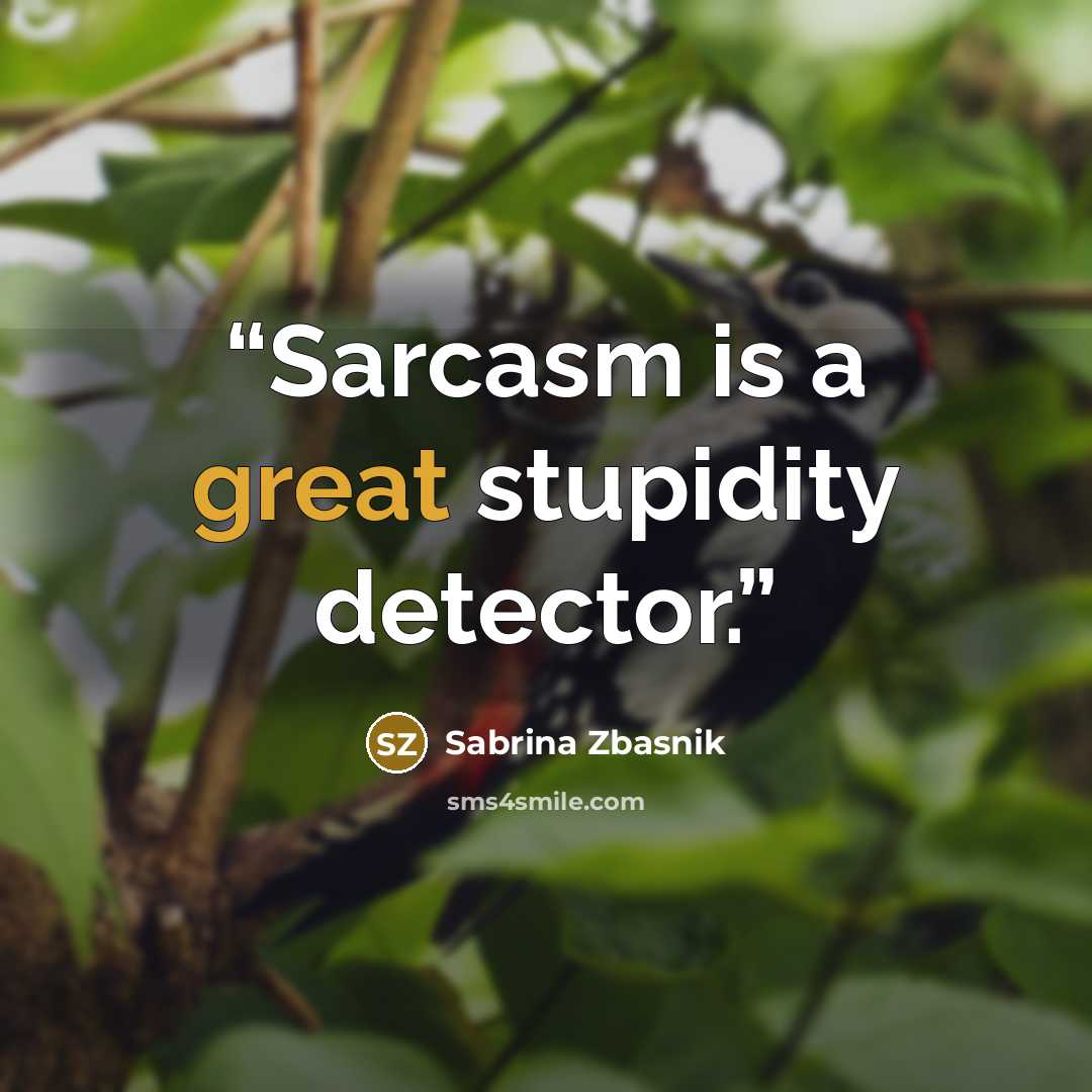 “Sarcasm is a great stupidity detector.” quote by Sabrina Zbasnik