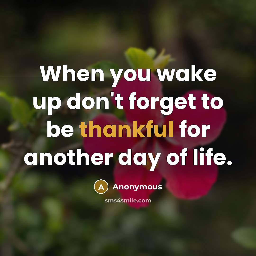 “When you wake up don't forget to be thankful for another day of life.” quote by Anonymous