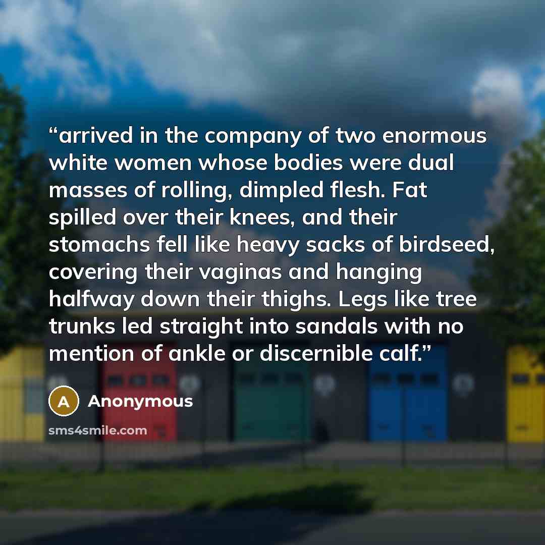 “arrived in the company of two enormous white women whose bodies were dual masses of rolling, dimpled flesh. Fat spilled over their knees, and their stomachs fell like heavy sacks of birdseed, covering their vaginas and hanging halfway down their thighs. Legs like tree trunks led straight into…” quote by Anonymous