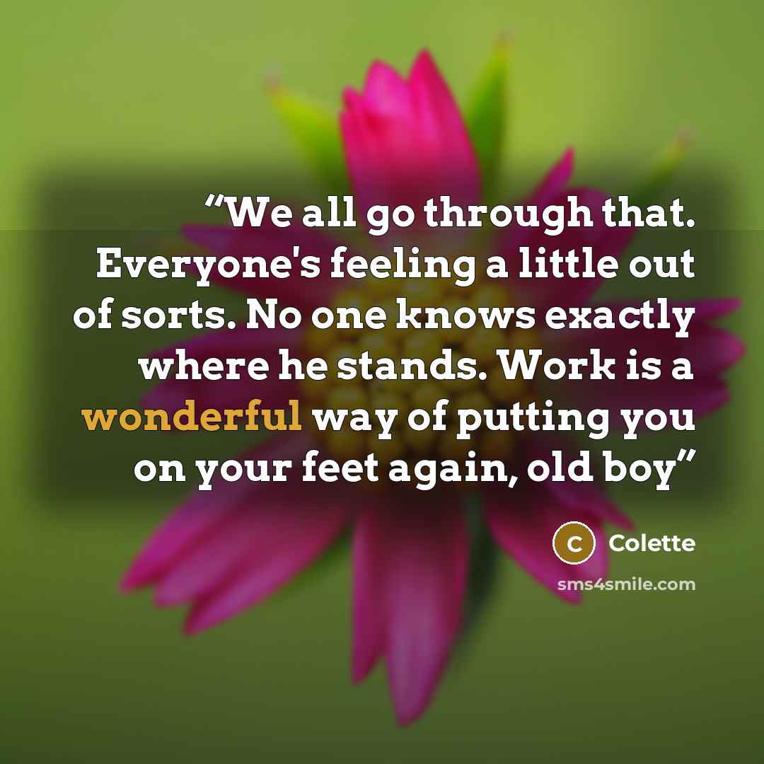 “We all go through that. Everyone's feeling a little out of sorts. No one knows exactly where he stands. Work is a wonderful way of putting you on your feet again, old boy” quote by Colette