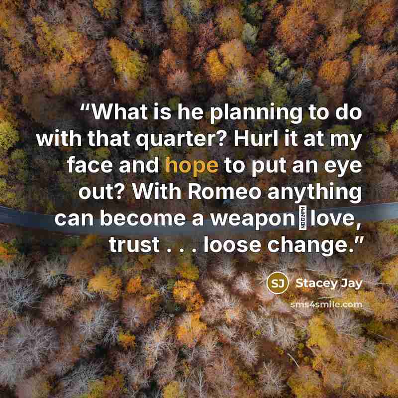 “What is he planning to do with that quarter? Hurl it at my face and hope to put an eye out? With Romeo anything can become a weapon─love, trust . . . loose change.” quote by Stacey Jay