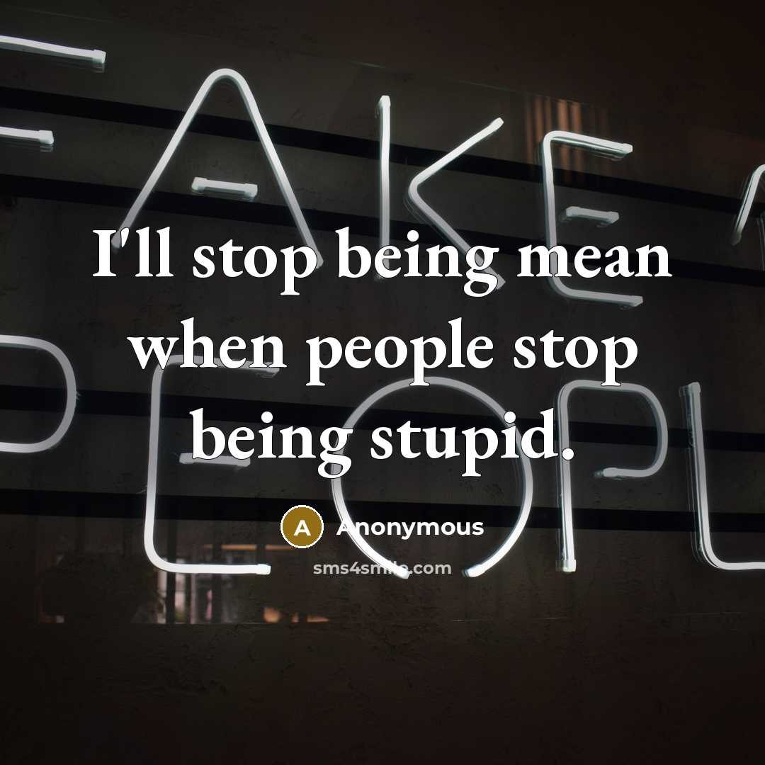 “I'll stop being mean when people stop being stupid.” quote by Anonymous