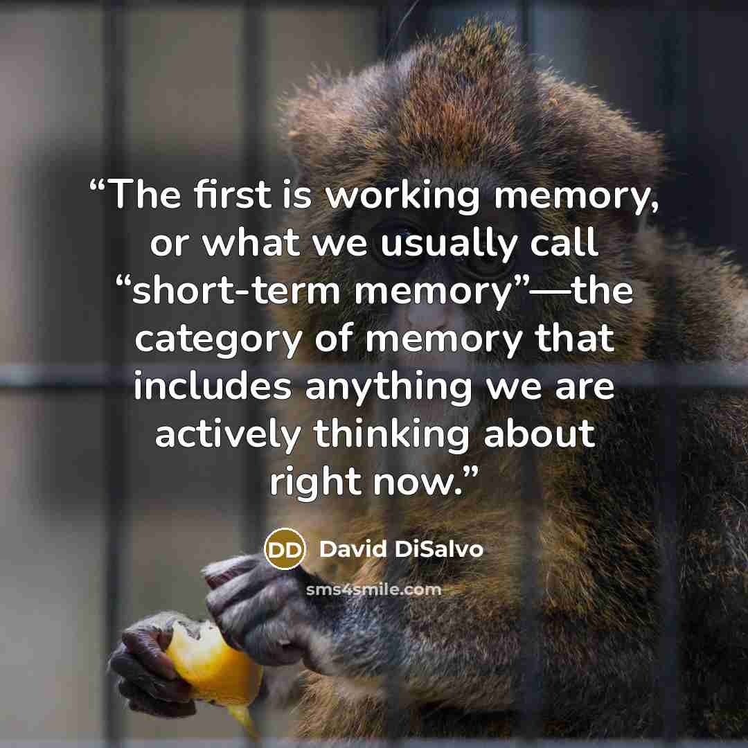 “The first is working memory, or what we usually call “short-term memory”—the category of memory that includes anything we are actively thinking about right now.” quote by David DiSalvo